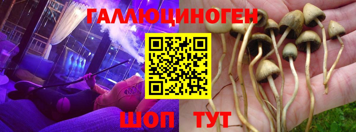 Еманжелинск  Псилоцибиновые грибы Magic Shrooms  Вход с VPN 
